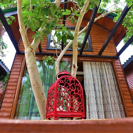 Koala Bungalows オリンポス エクステリア 写真