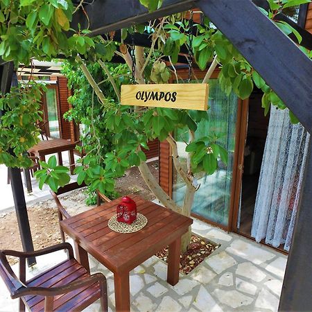 Koala Bungalows オリンポス エクステリア 写真