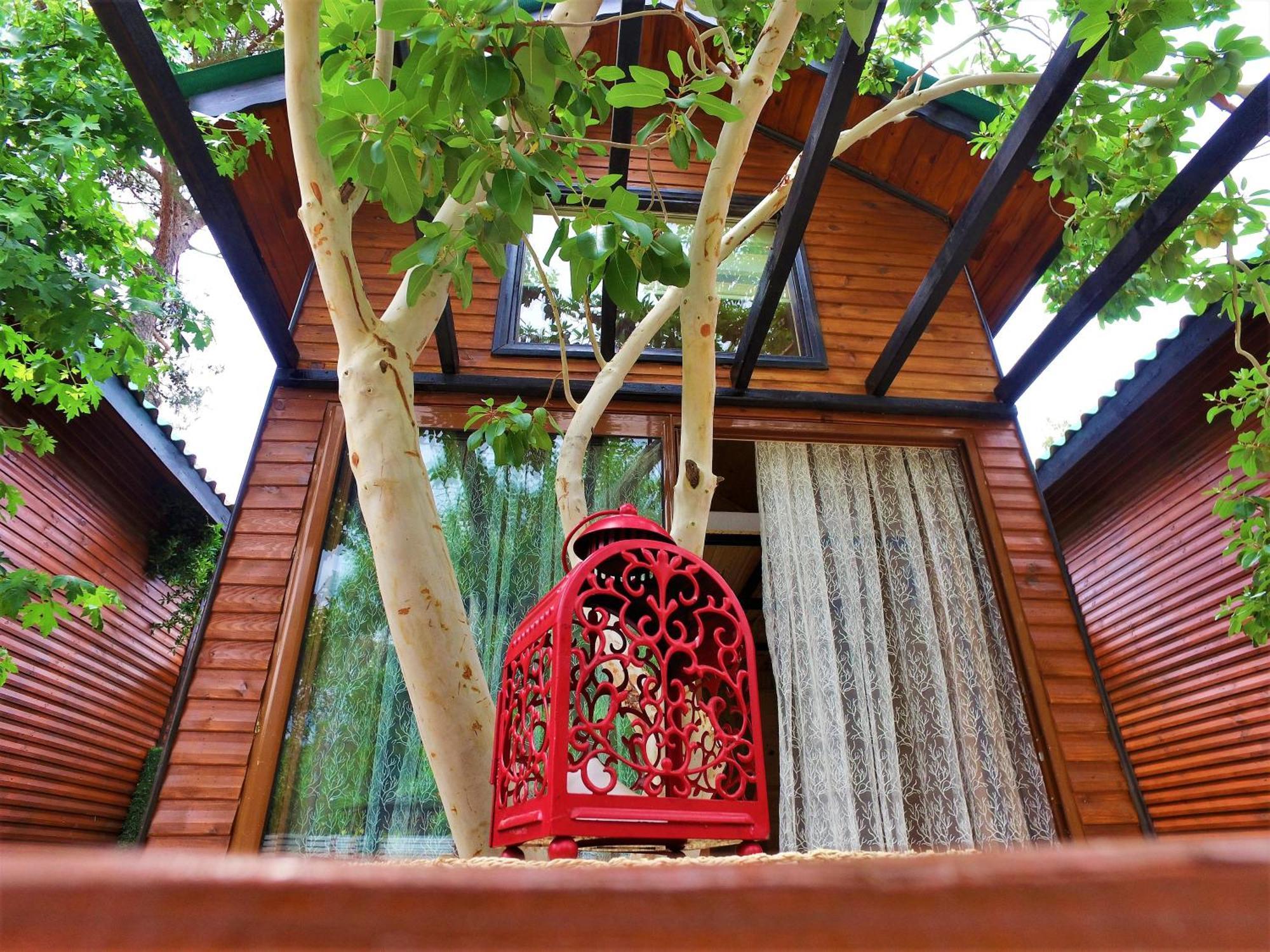 Koala Bungalows オリンポス エクステリア 写真