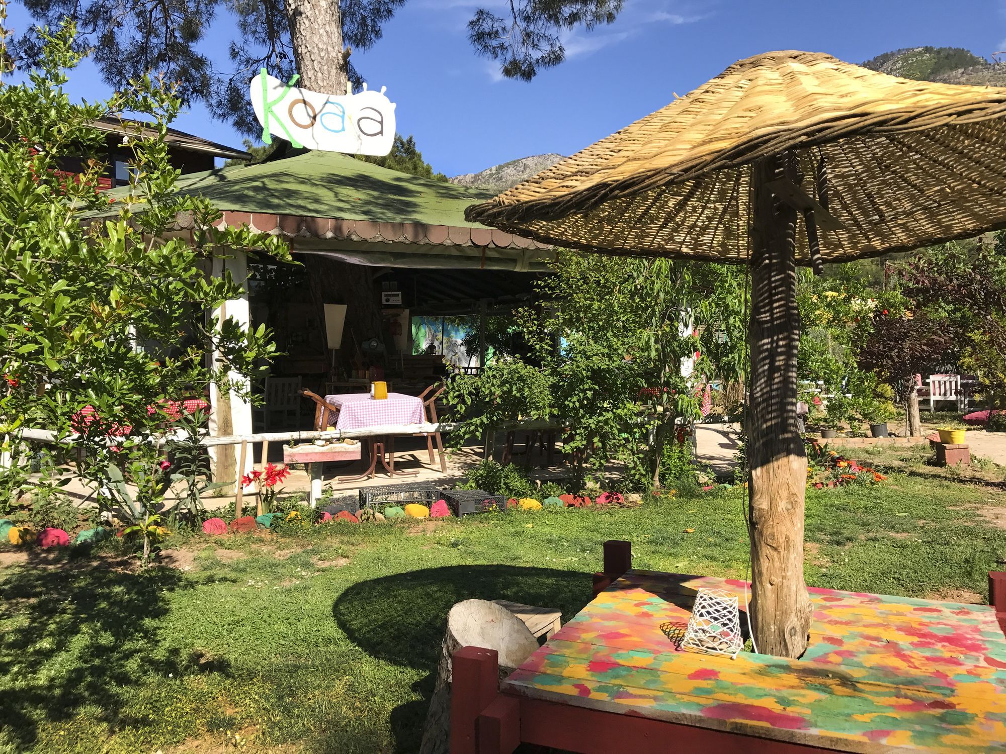 Koala Bungalows オリンポス エクステリア 写真
